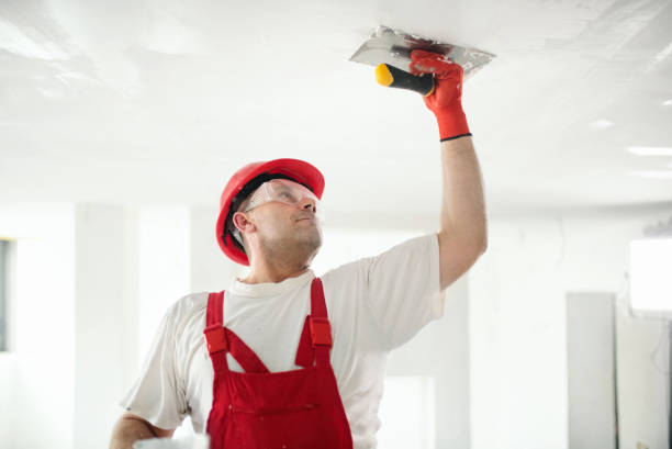 Best Ceiling Drywall Installation  in Stonecrest, GA